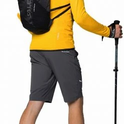 SALEWA Rolle Polarlite Responsive Veste Homme, gris 13 SALEWA Rolle Polarlite Responsive Veste Homme, gris -Vestes en polaire Soldes salewa rolle polarlite responsive jacket men gold 6